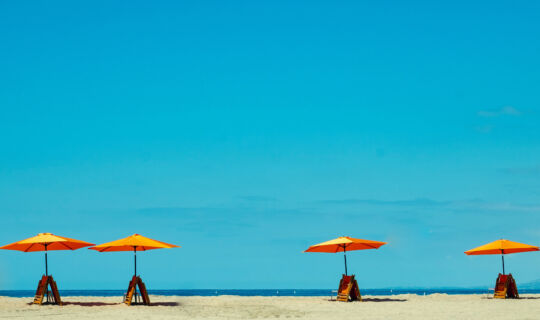 ferie estive 2021 alfamed